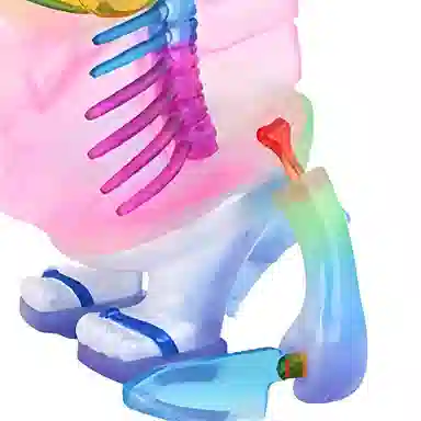 POP MART INSTINCTOY Anatomical Maguro Rainbow Clear G.I.D