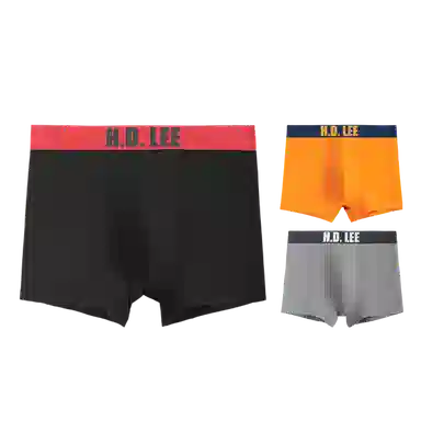 Lee 3