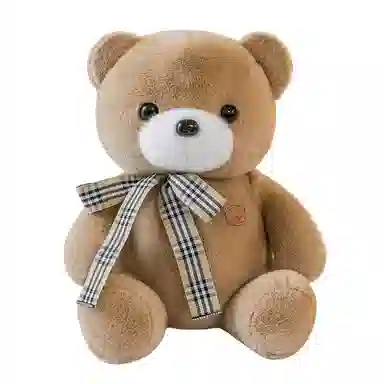 Brangdy 25cm35cm40cm