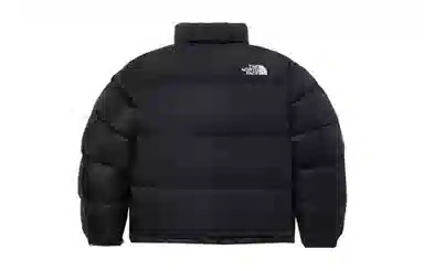 THE NORTH FACE Nuptse 811