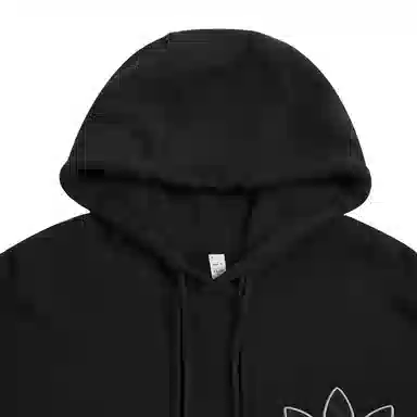 adidas originals Adicolor Hoody Logo