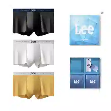 Lee 3