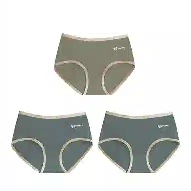 棉基因 舒适简约柔软亲肤透气抑菌裆中腰高弹三角内裤 女款 组合装