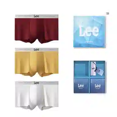 Lee 3