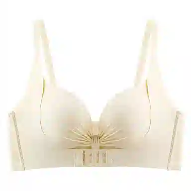 二三二三 聚拢手掌杯收副乳防下垂无痕无钢圈性感文胸 女款 酒红色