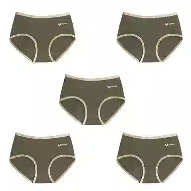 棉基因 舒适简约柔软亲肤透气抑菌裆中腰高弹三角内裤 女款 组合装