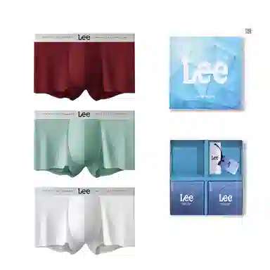 Lee 3