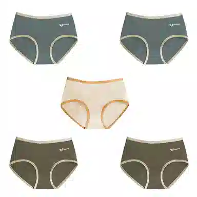 棉基因 舒适简约柔软亲肤透气抑菌裆中腰高弹三角内裤 女款 组合装