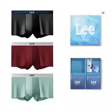 Lee 3