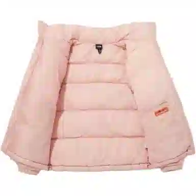 The North Face Nuptse Pink Women's