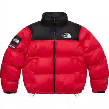 Supreme x The North Face