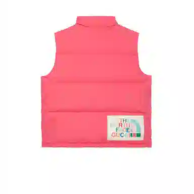 GUCCI x THE NORTH FACE Logo