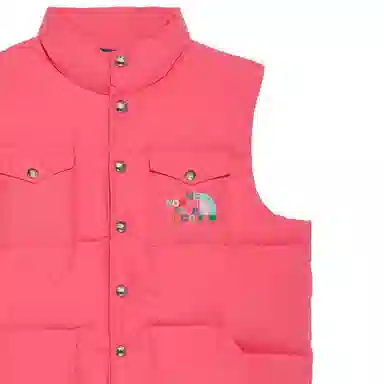 GUCCI x THE NORTH FACE Logo