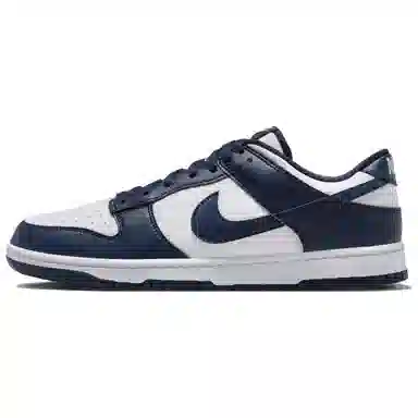 Nike Dunk Low Retro White Blue
