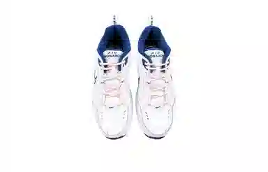 Nike Air Monarch 4 LQ