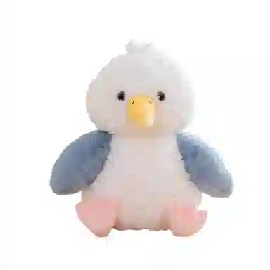 25cm35cm
