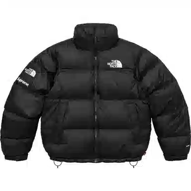 Supreme x The North Face