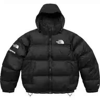 Supreme x The North Face