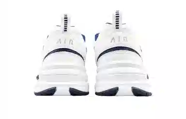 Nike Air Monarch 4 LQ