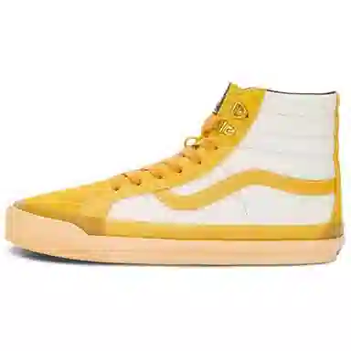 Vans SK8 HI