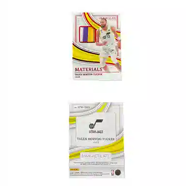 PANINI 2022-23 Imm patch