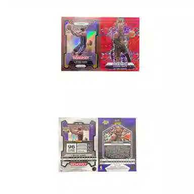 PANINI 2023-24 prizm 171249