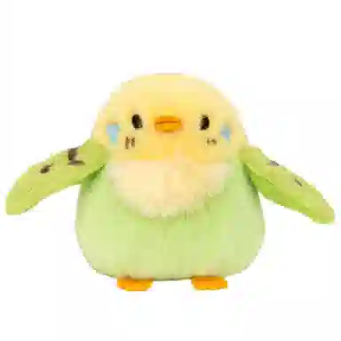 11cm18cm