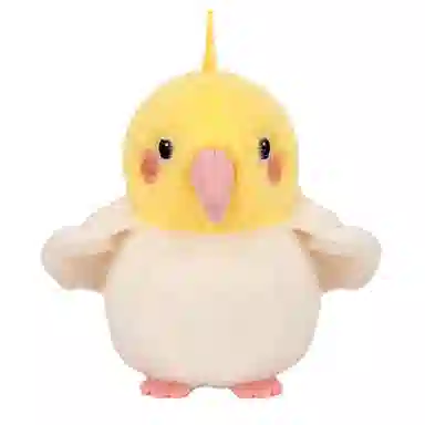 11cm18cm