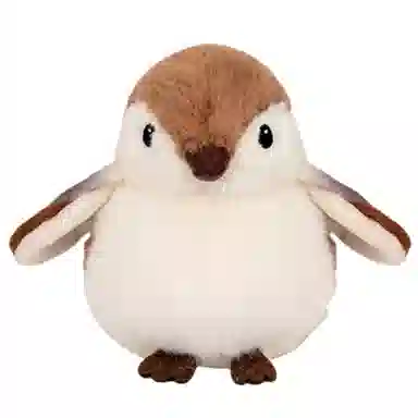 11cm18cm