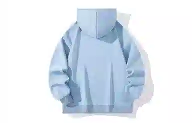 REXSHION Hoodie