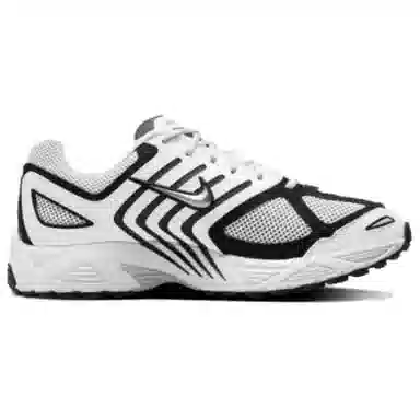 Nike Air Pegasus 2005