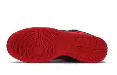 Nike Dunk EVO iSO studio