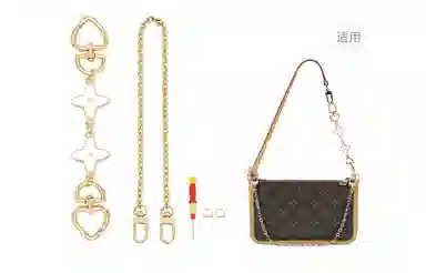 GUYI LV Carryall
