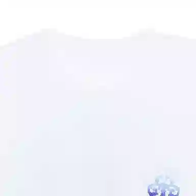 Chrome Hearts T