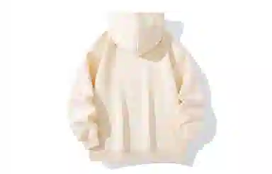 REXSHION Hoodie