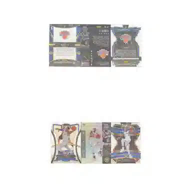 PANINI 2019-20 SELECT RC RJ 3