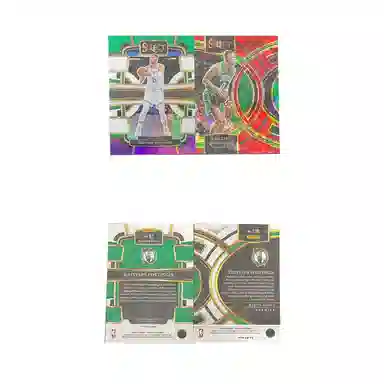 PANINI 2023-24 select