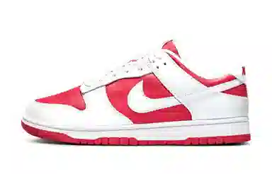 Nike Dunk EVO iSO studio