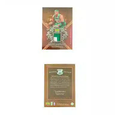 PANINI 2007-08 Upper Deck 29 1