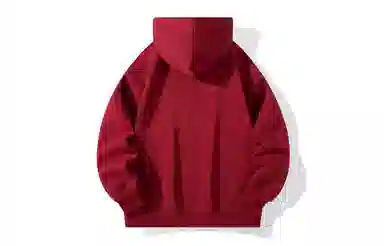 REXSHION Hoodie