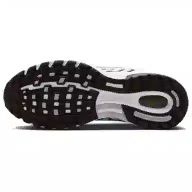 Nike Air Pegasus 2005