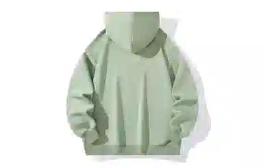 REXSHION Hoodie