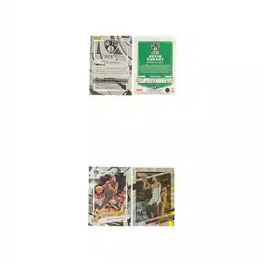 PANINI 2022-232499 +2021-22 1492