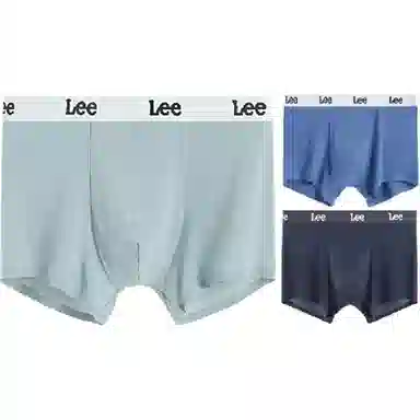 Lee 3