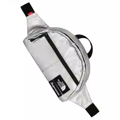 Supreme x The North FaceMetallic Pack Logo