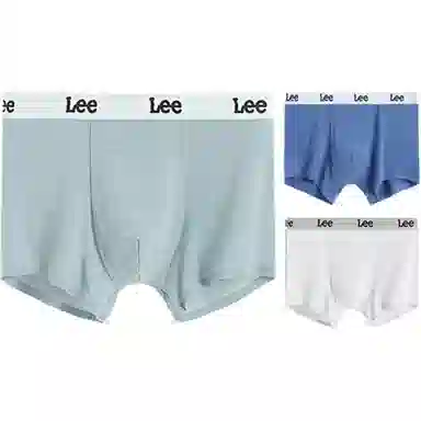 Lee 3