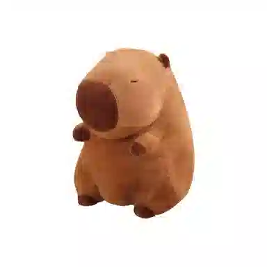 25cm35cm45cm60cm80cm100cm