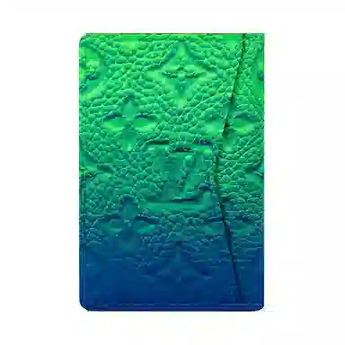 LOUIS VUITTON Pocket Organizer Taurillon