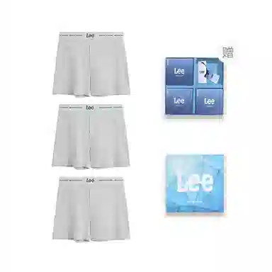 Lee 3