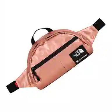 Supreme x The North FaceMetallic Pack Logo